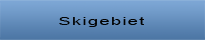 Skigebiet